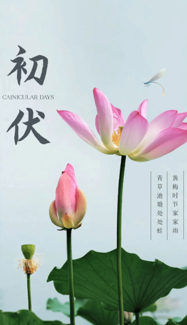 熱、熱、熱！入伏中……